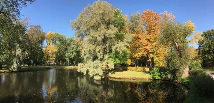 Autumn in St. Petersburg - My, Autumn, Saint Petersburg, Indian summer