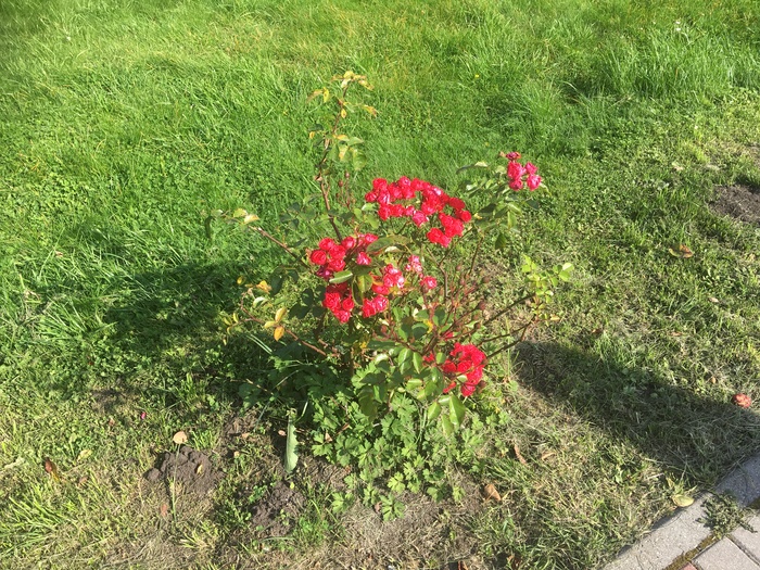        , , , , , 