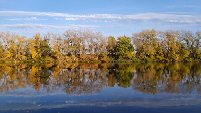 Well, autumn and autumn, there are trees, water, everything - My, Autumn, Landscape, The photo, Mobile photography, Nature