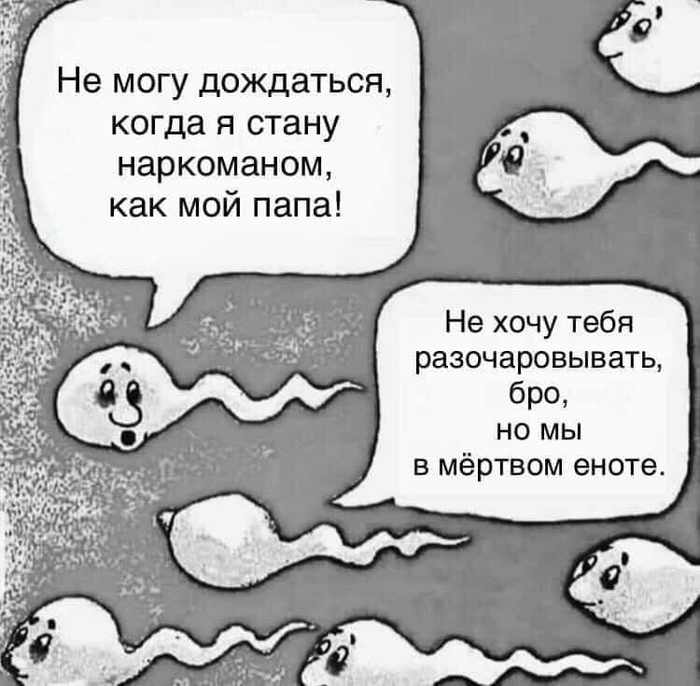 Лизун спермы