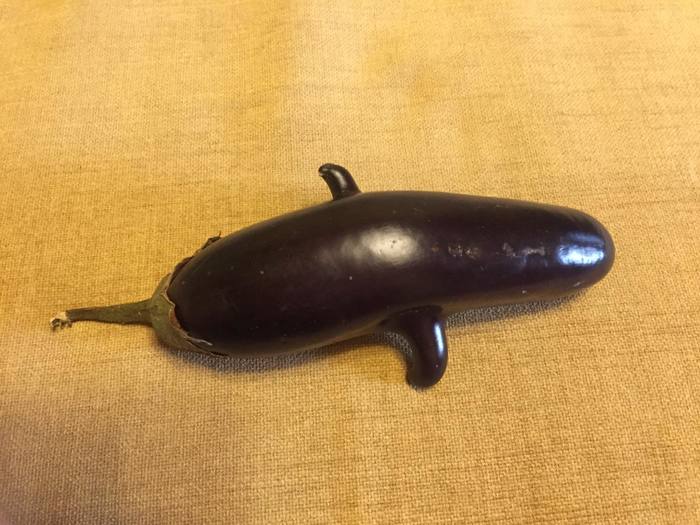 Eggplant killer whale - My, Eggplant, Killer whale, Pareidolia, Anomaly, Longpost