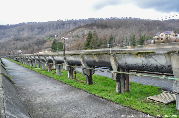Как выращивают форель в Адлере Рыба, Форель, Как это сделано, Длиннопост, Разведение