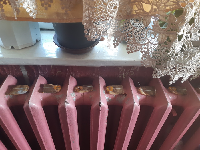 ������� ���� ������������