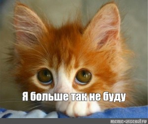 And here I am - Sberbank, Mum, cat