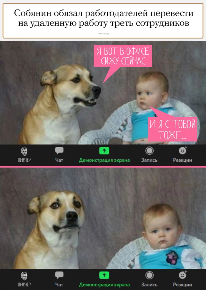 С 5 октября во всех офисах Москвы Юмор, Москва, Удаленная работа, Сергей Собянин, Мемы, Картинка с текстом, Коронавирус