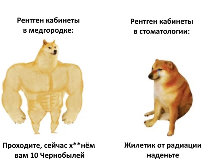 The difference between x-ray rooms - X-ray, Radiation, The medicine, Doge