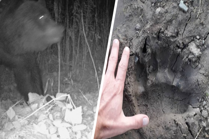 ������� �������� � ��������� ����: ����� ����� ���������)