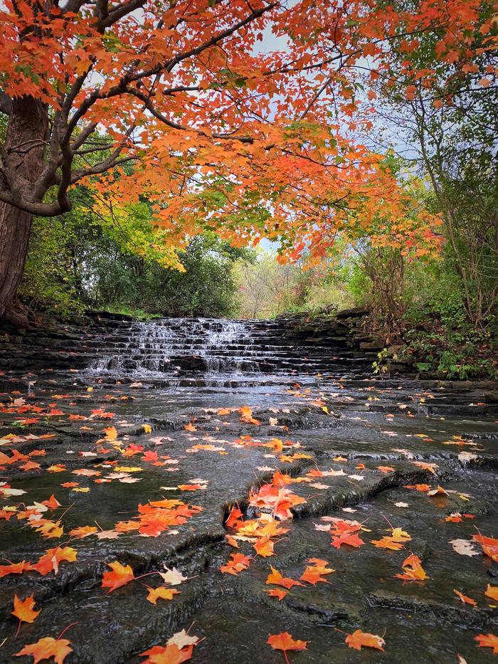 Beautiful autumn waterfall in Canada - The photo, Nature, Waterfall, Canada, Autumn, Leaves, Reddit, Autumn leaves, beauty of nature