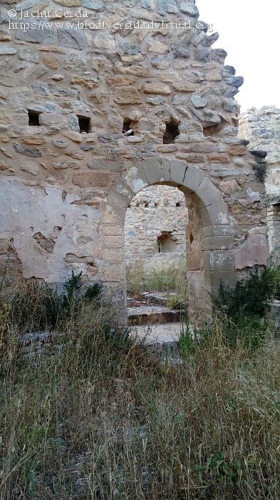 Испанская глубинка: Мирамбель - Испания, Провинция, Фотография, Путешествия, Пикабушники за границей, Длиннопост