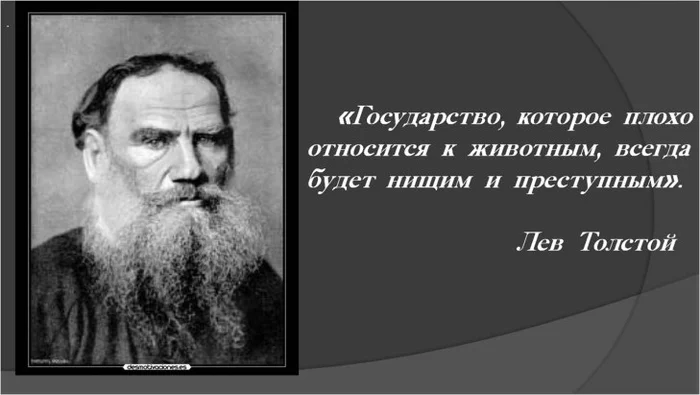 Response to the post An ecological disaster in Kamchatka - Lev Tolstoy, Quotes, Picture with text, State, Politics, Social, Kamchatka