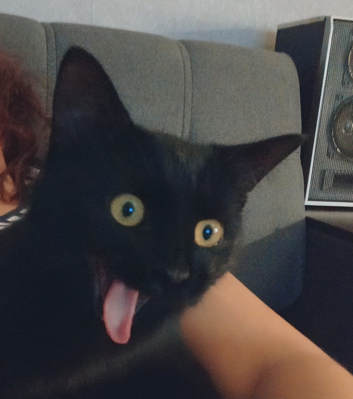 �����-���