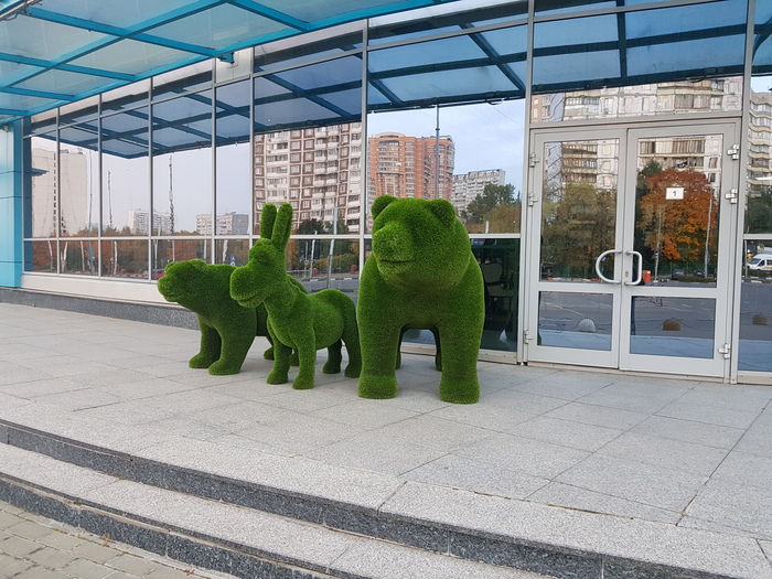 ���������� ���