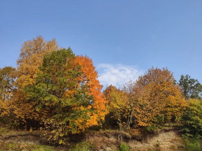 The rafting season is coming to an end - My, Klyazma, Alloy, Nature, Autumn, Longpost