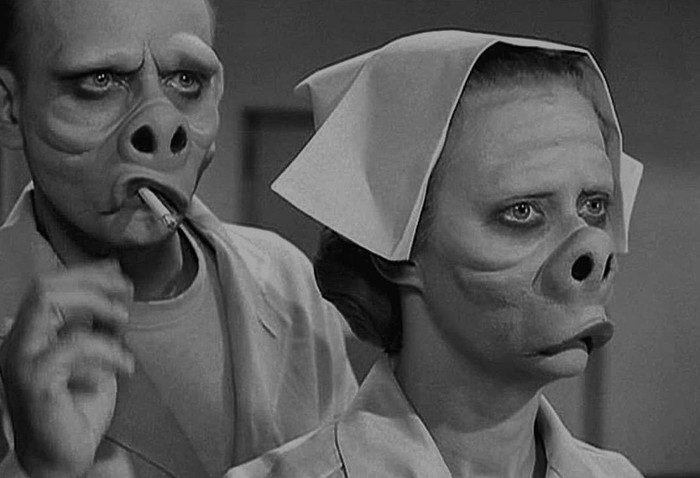 А накипь нам только снилась. Или накипь- Накипела