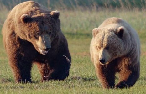 � �������, �, �������, � ��� ��� �����?...