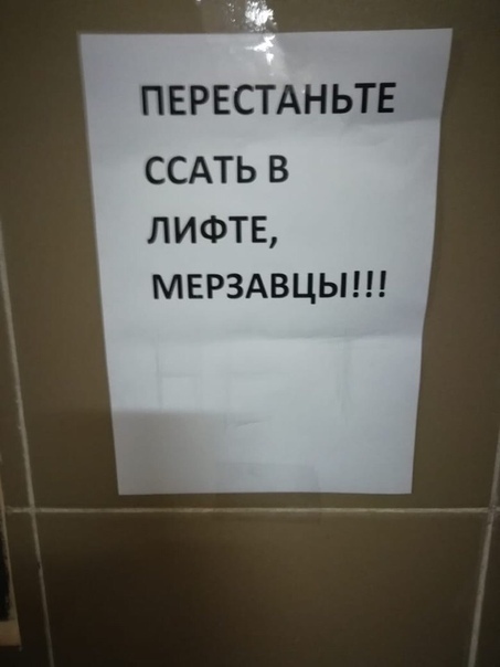 Я знаю кто ссыт в лифте! - Моё, Истории из жизни, Реальная история из жизни, Лифт, Бытовуха, Жилье, Хулиганы, Мат, Длиннопост