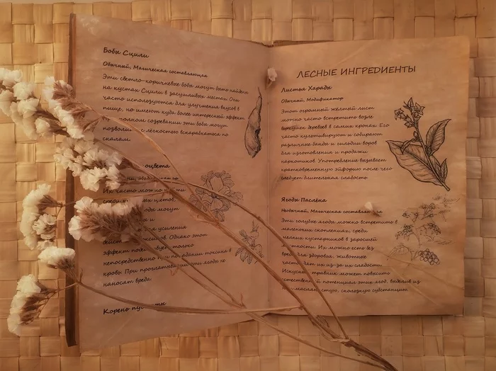 Книга Травника (D&D 5e) - Моё, Dnd 5, Рукоделие без процесса