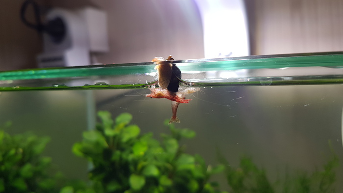 Отпустите гады! Я сваливаю!