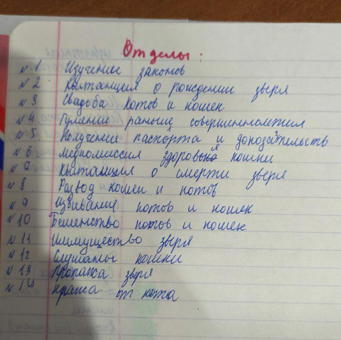 Маленький кошачий бюрократ Кот, Детство, Бюрократия, Длиннопост