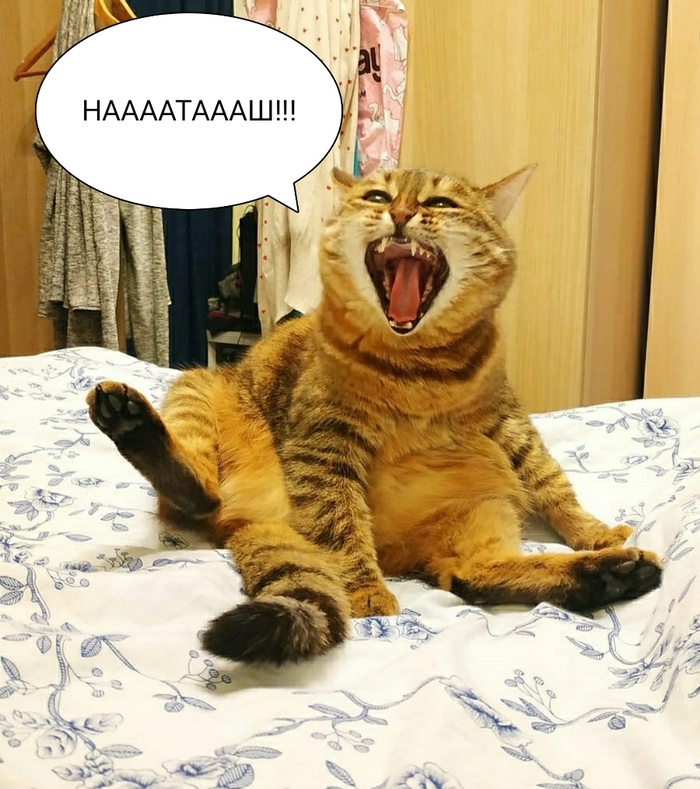 ! , , , 