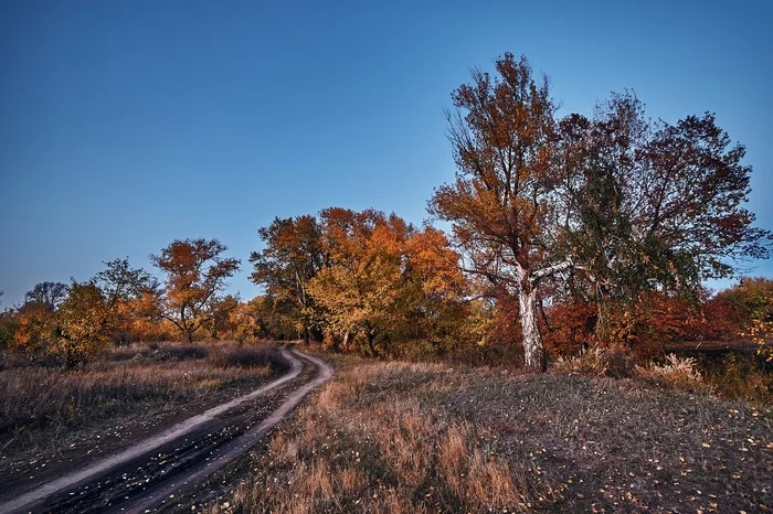 Autumn sketches - My, Kazakhstan, Uralsk, Nikon, Landscape, The photo, Longpost