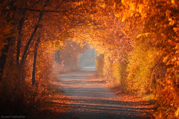 Autumn in Omsk - My, Omsk, Photographer, The photo, Autumn, Russia, Alexey Golubev, Street photography, Landscape, Color, Longpost, Fuck aesthetics