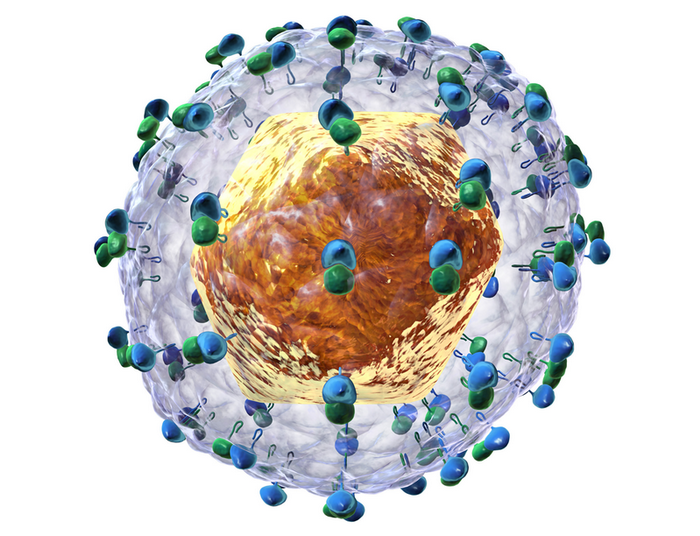 Nobel Prize in Physiology or Medicine awarded for hepatitis C virus - Nobel Prize, Hepatitis C, Virus, Liver, Opening, Science and life, Longpost, Disease