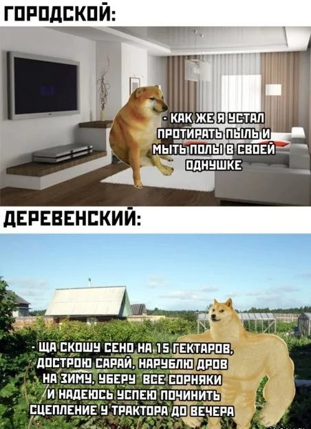 Уборка - Doge, Мемы, Город, Деревня, Романтика, Труд, Уборка, Городская среда, Забавное