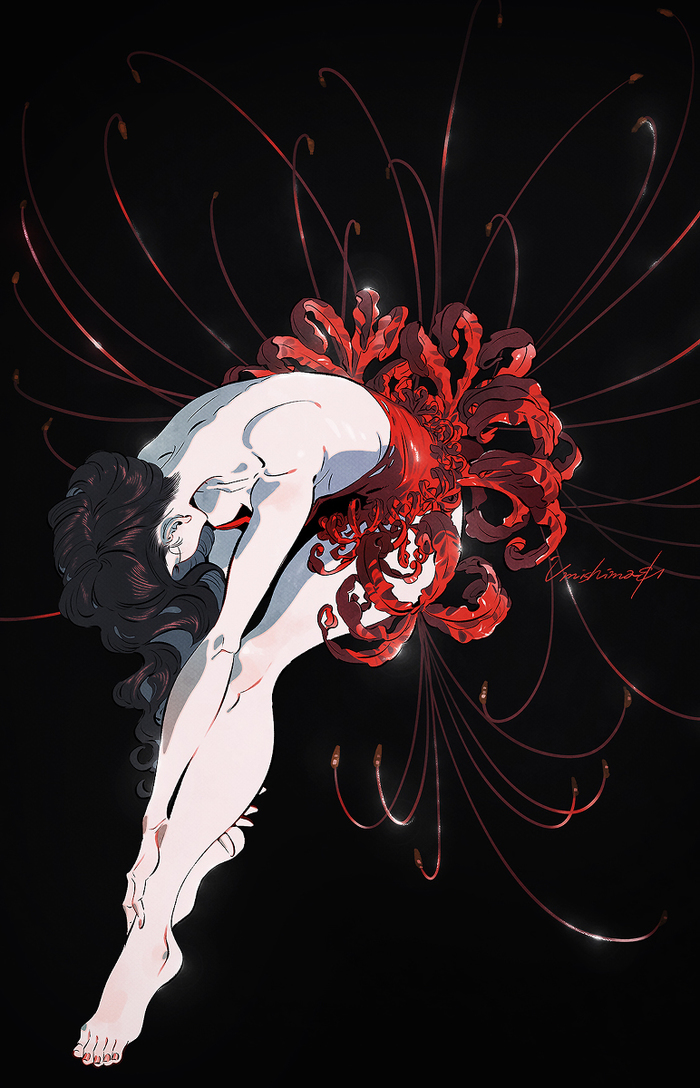 Lycoris , , , , , 