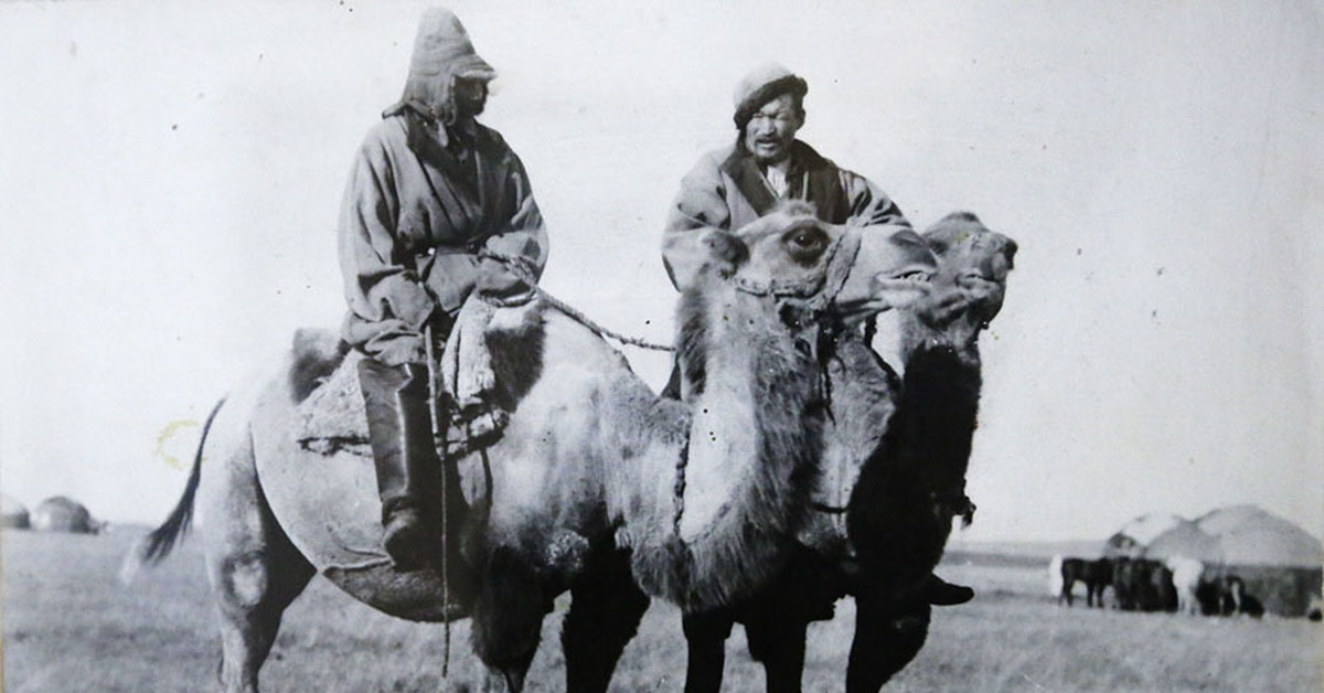 Казахстан xx век. Казахстан в 30-е годы. Казахи 1920.