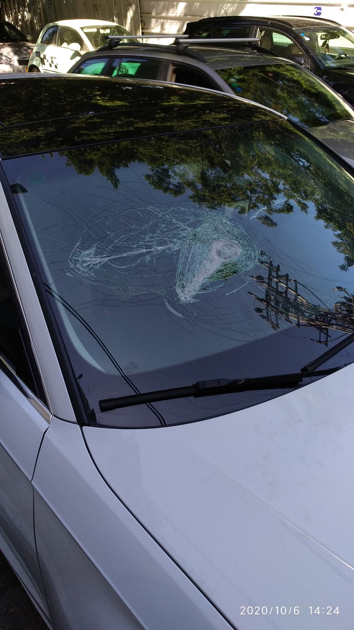 Всегда смотри по сторонам при переходе дороги