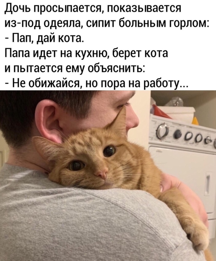   , 