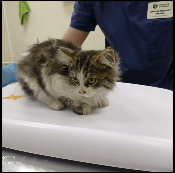 ������. ���� ����� ��� �������