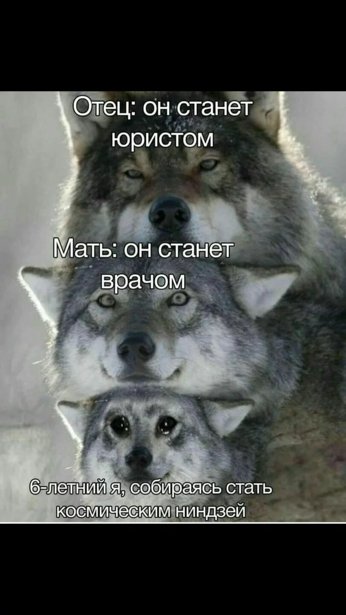 А что же дальше? - Моё, Родители и дети, Образование, Профессия, Трудности, Длиннопост