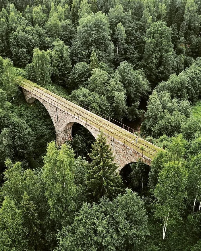 Viaduct in the Novgorod region - Architecture, Bridge, Railway, Story, Longpost