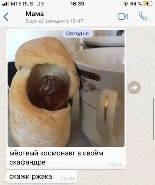 Dead astronaut - Mum, Humor, Correspondence, Sausage in dough, Screenshot, Космонавты, Spacesuit