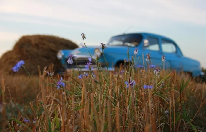 Outback - My, Russia, Village, Provinces, Travel across Russia, Patriotism, Homeland, Field, The nature of Russia, beauty