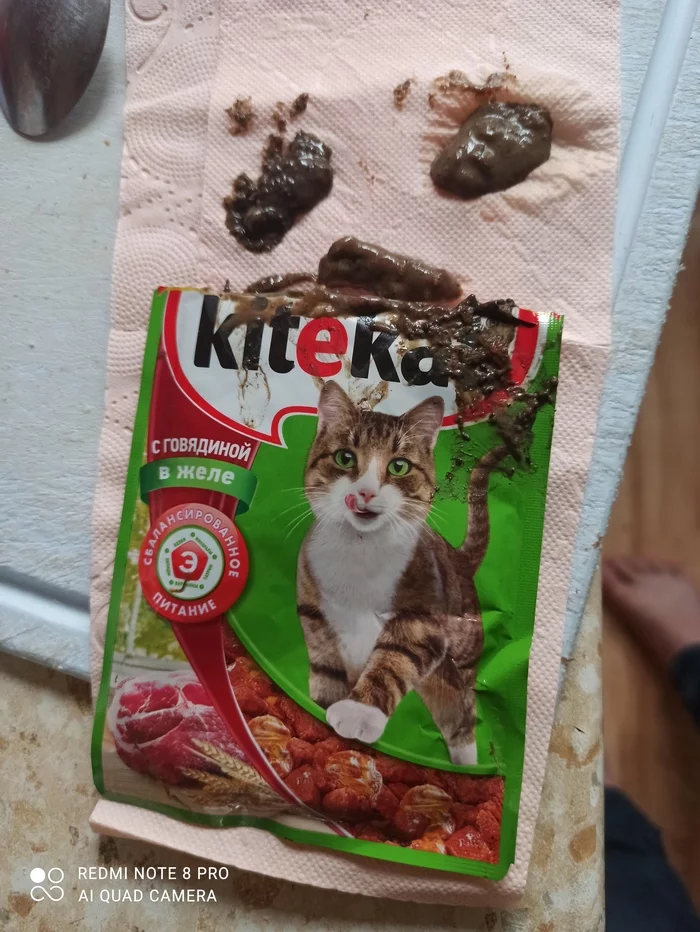 Купил kitecat. Слабонервным не смотреть - Моё, Контроль качества, Жалоба, Фото на тапок, Крупный план, Негатив, Kitekat, Длиннопост