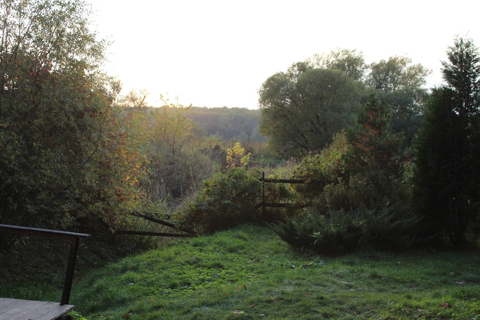 Просто фото