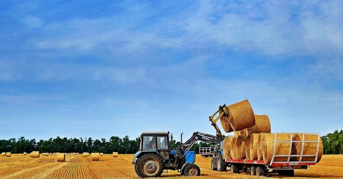 Цветное хозяйство. Сельское хозяйство. Трактор в поле. Транспорт в сельском хозяйстве. Сельское хозяйство России.
