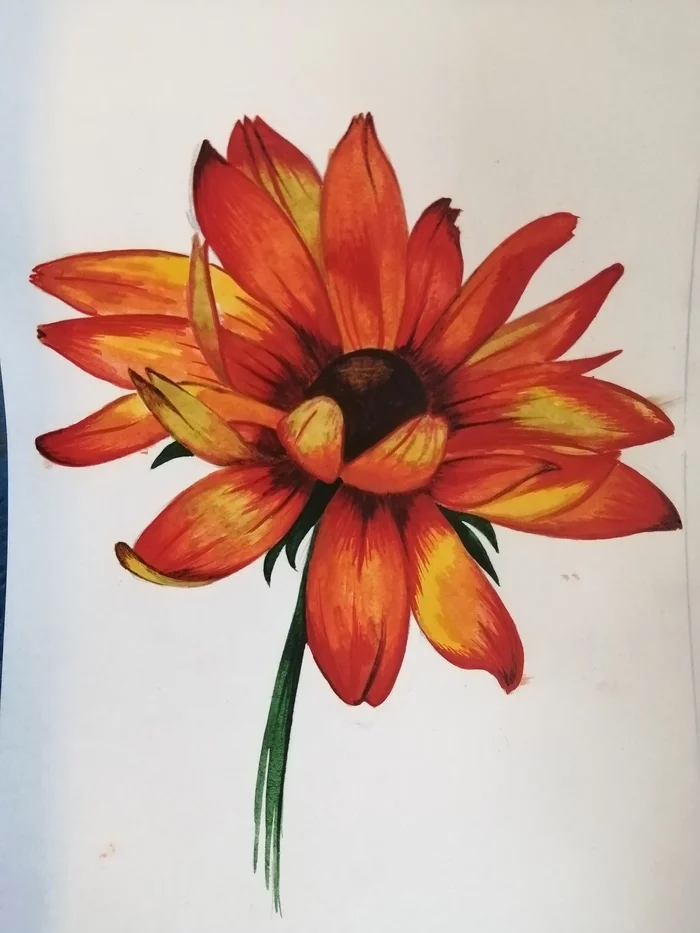 Rudbeckia - My, Rudbeckia, Watercolor, Longpost