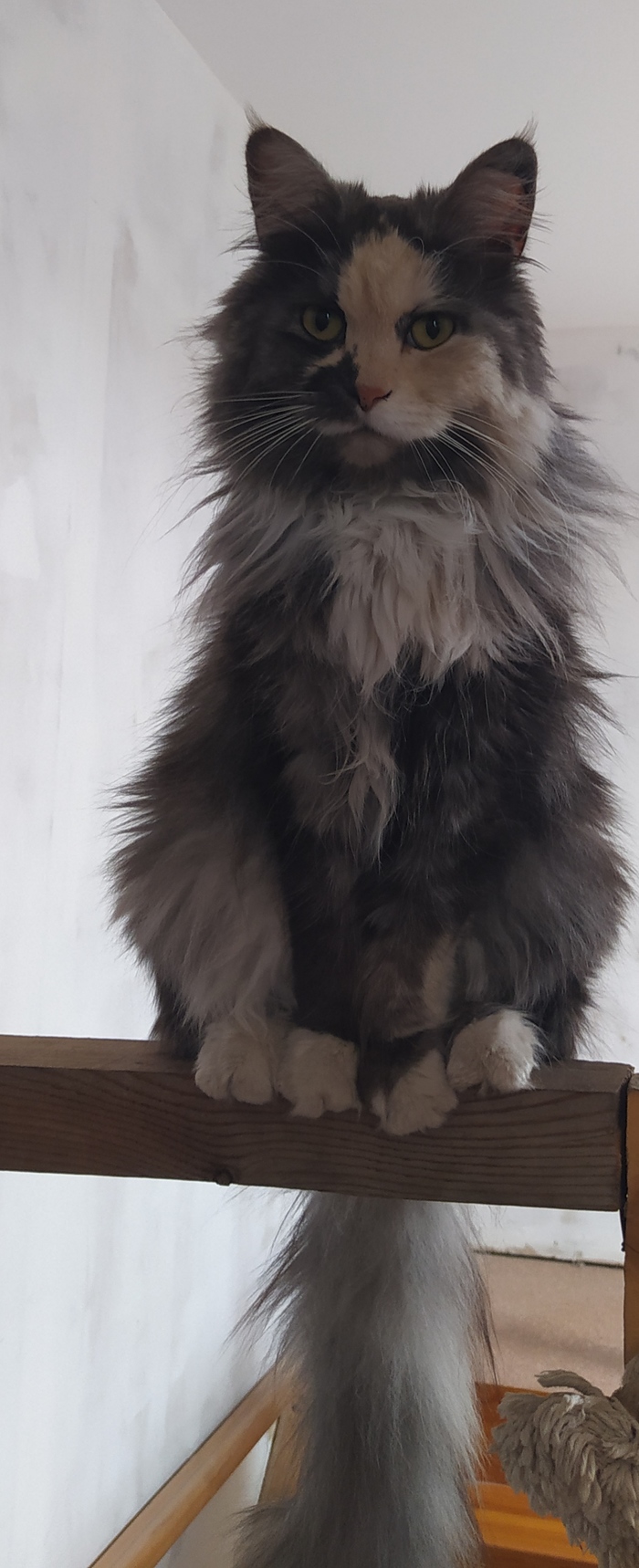 Почувствуй всю тяжесть на своей совести