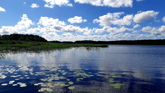 Summer fishing memories - My, Fishing, Friday tag is mine, Catch, Pike, Perch, Relaxation, Nature, Camping, Longpost