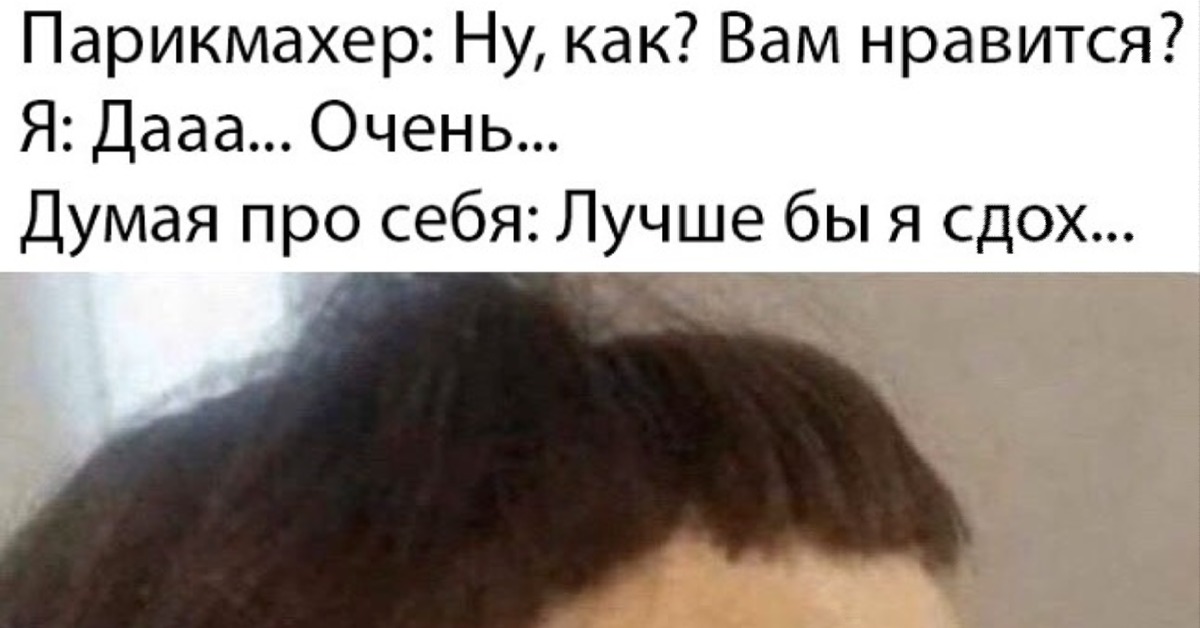 Стрижка только началась картинки