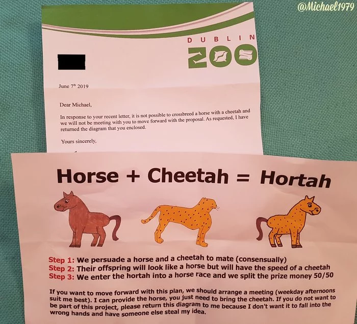 Сотрудничество с зоопарком не задалось Бизнес, Скачки, Лошади, Гепард, Скрещивание, Предложение, Зоопарк, Ирландия, Письмо Сотрудничество с зоопарком не задалось Бизнес, Скачки, Лошади, Гепард, Скрещивание, Предложение, Зоопарк, Ирландия, Письмо