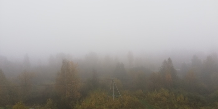 Good morning! - My, Morning, Fog, Autumn, October