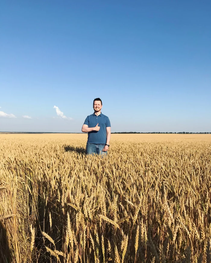 Happy Agricultural Workers Day! - My, Сельское хозяйство, Village, Collective farm, Wheat, Village, Rostselmash, Rostov-on-Don, Rostov region, , Salsk