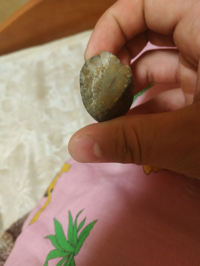  -    , ,  , , ,  , , , 