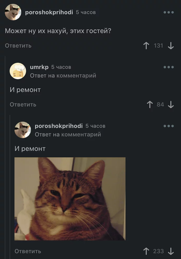 The eternal theme of uninvited guests and repairs) - Screenshot, Comments on Peekaboo, cat, Repair