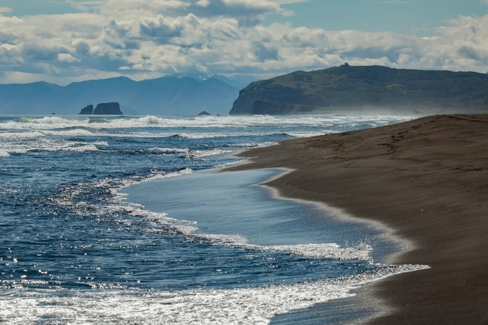 WWF России в 2021 году запустит систему экологического мониторинга